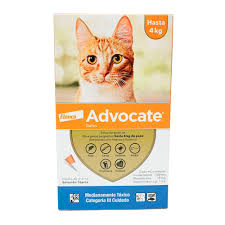 Advocate