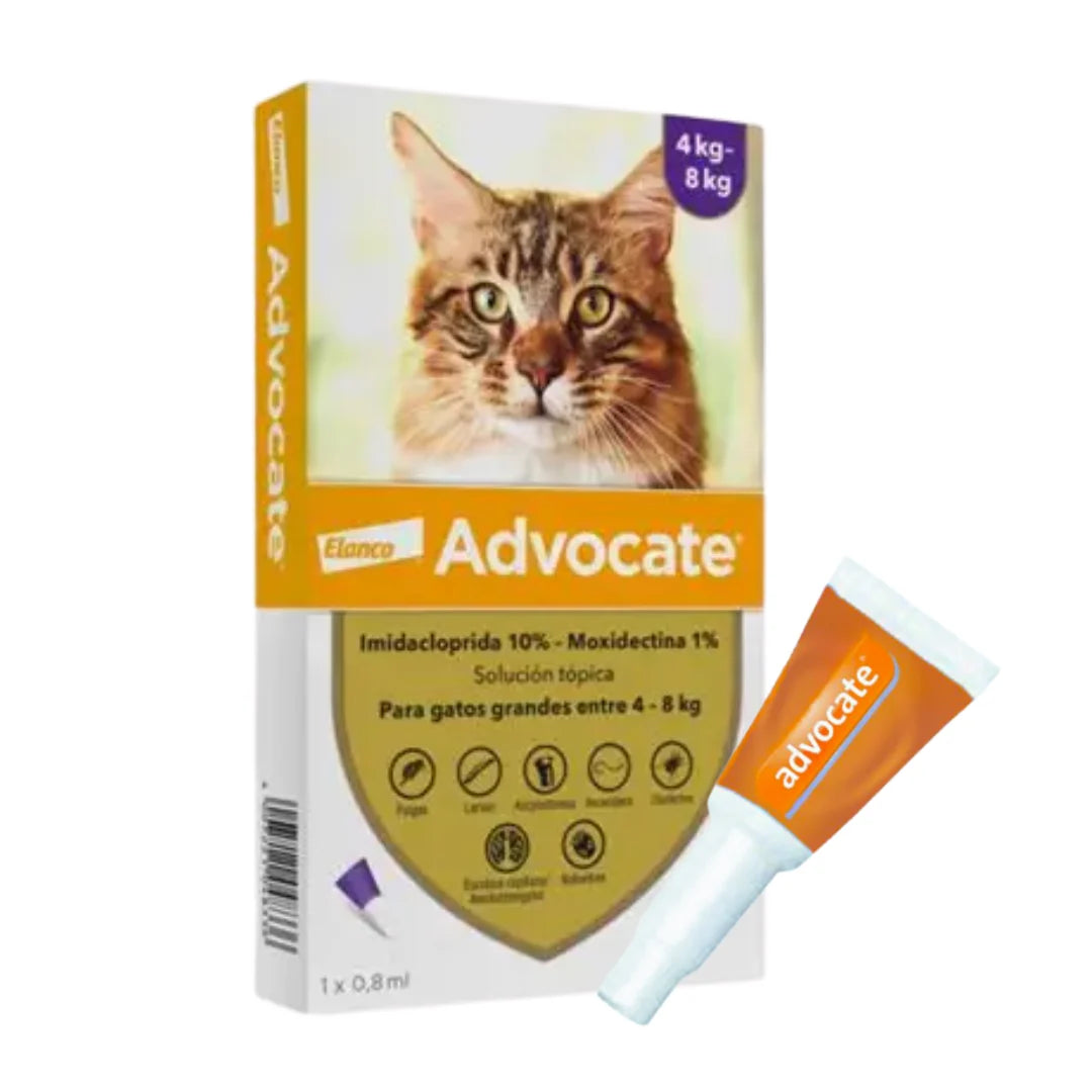 Advocate