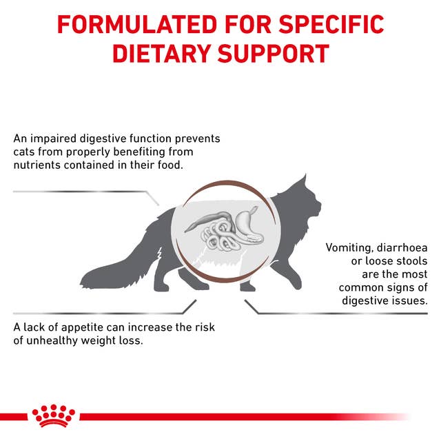 Royal Canin Gastrointestinal felino 2kg