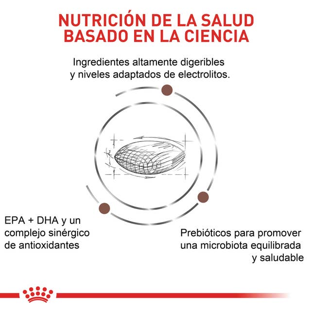 Royal Canin Gastrointestinal Low Fat canino 3kg