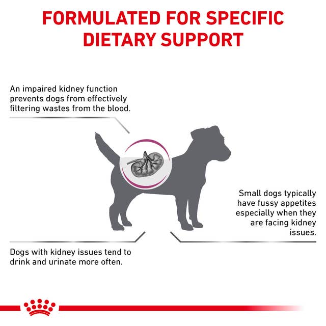 Royal Canin Renal Small canino 1.5kg