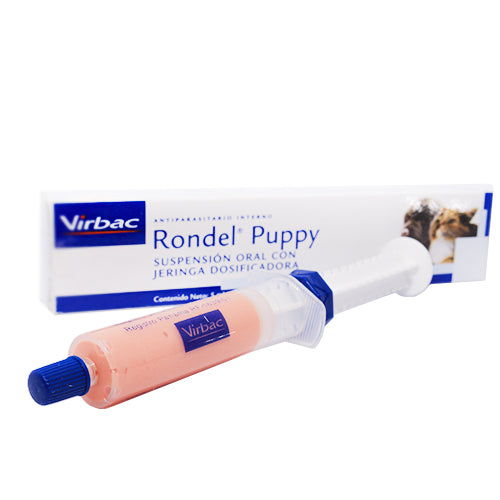 Rondel puppy