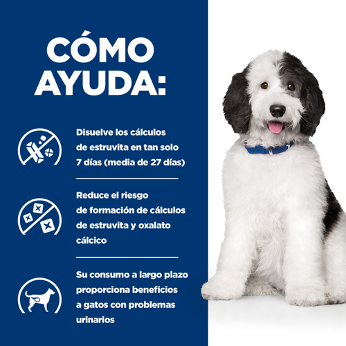 Hills C/D canino 1,58kg