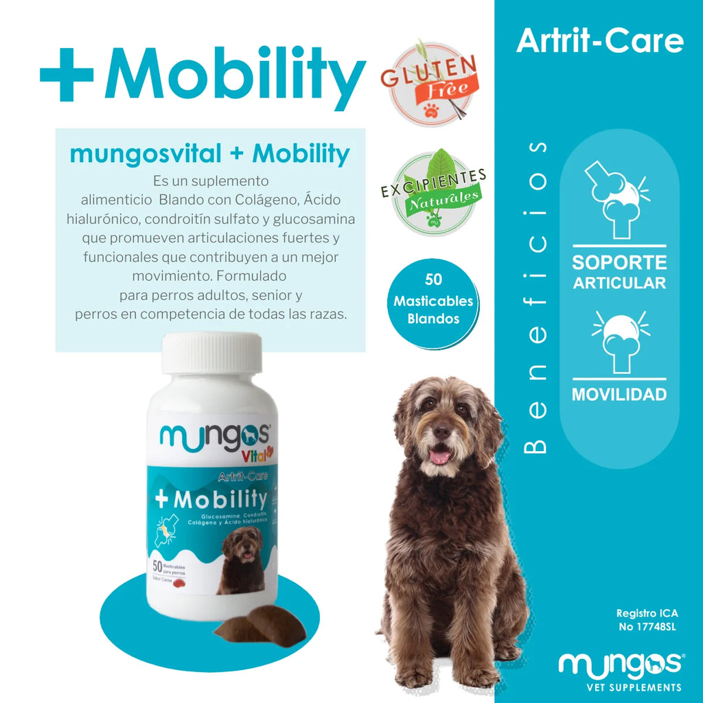 Mungos mobility - perros