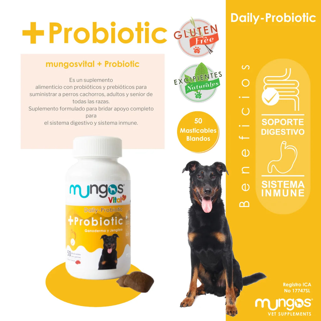 Mungos probióticos- perros