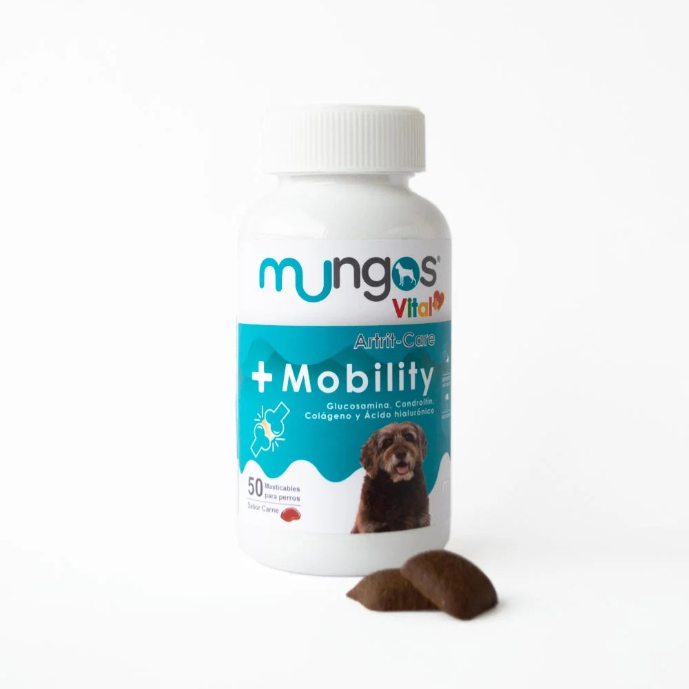 Mungos mobility - perros