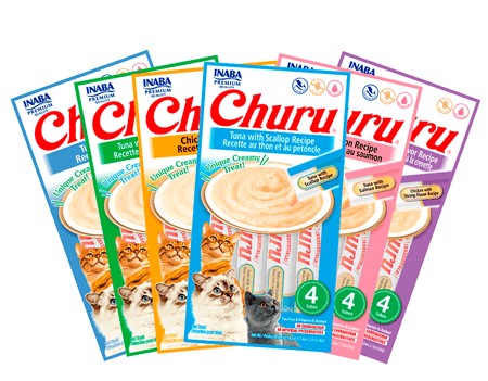 Churu gatos