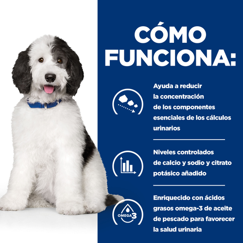 Hills C/D canino 1,58kg