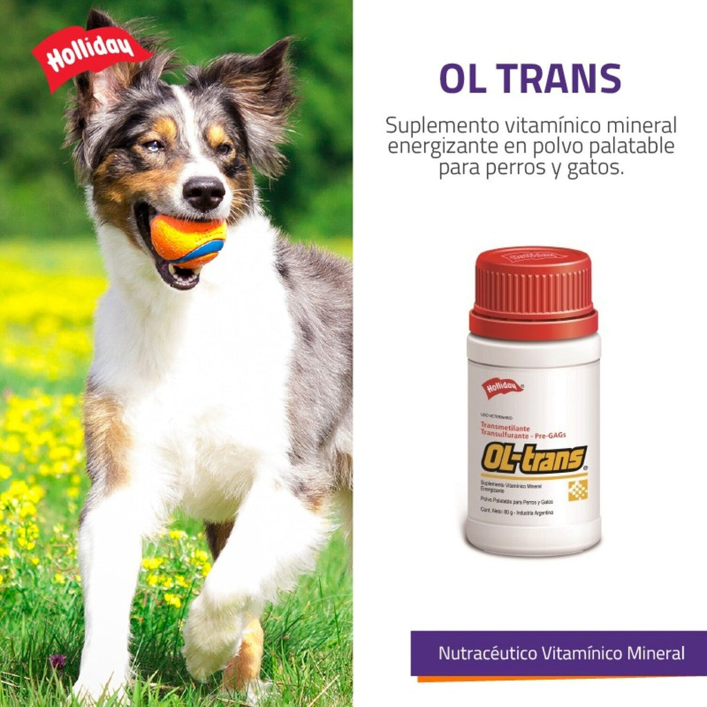 Ol-trans 80gr
